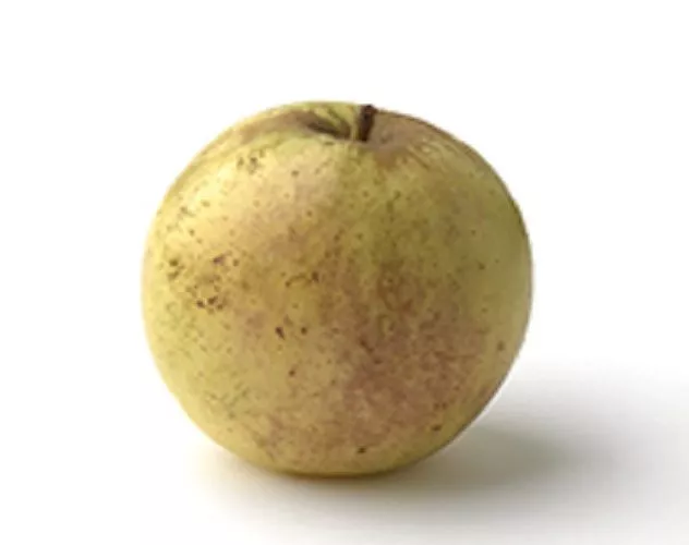 Manzana Clarina En Oferta Variedad Manzana Clarina