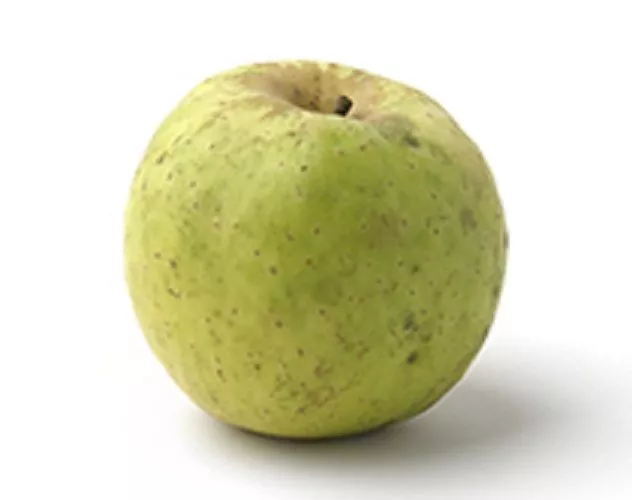 Manzana Collaos En Oferta Variedad Manzana Collaos