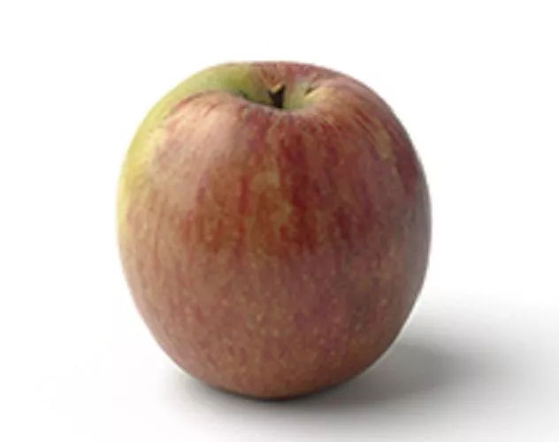 Manzana Fuentes En Oferta Manzana Fuentes