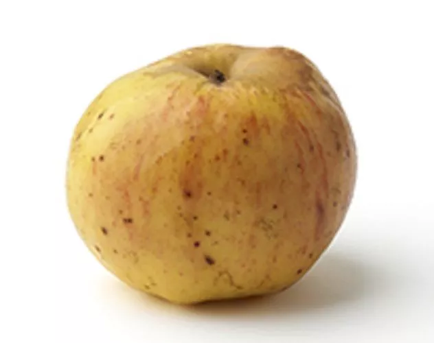 Manzana Solarina En Oferta Manzana Solarina