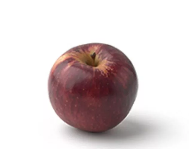 Manzana Teórica En Oferta Manzana Teórica